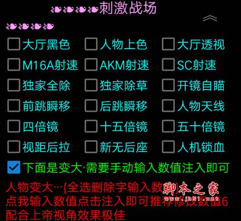 绝地求生透视辅助_求生透视绝地辅助怎么用_求生透视绝地辅助下载