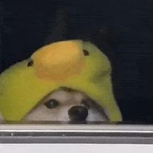 绝地求生f1加速辅助,绝地求生F1加速辅助,游戏公平性与技术伦理的边界探讨